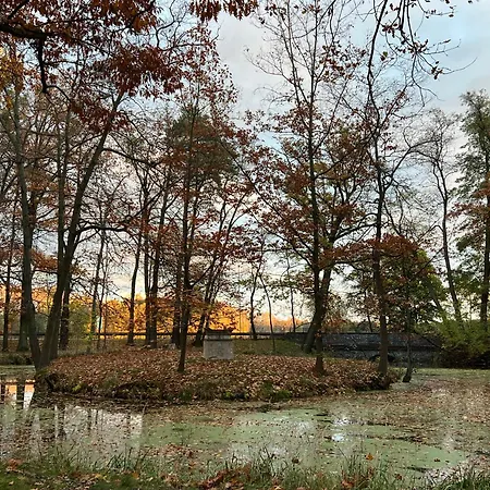 Lesne Antoniewo * Ostrzeszów